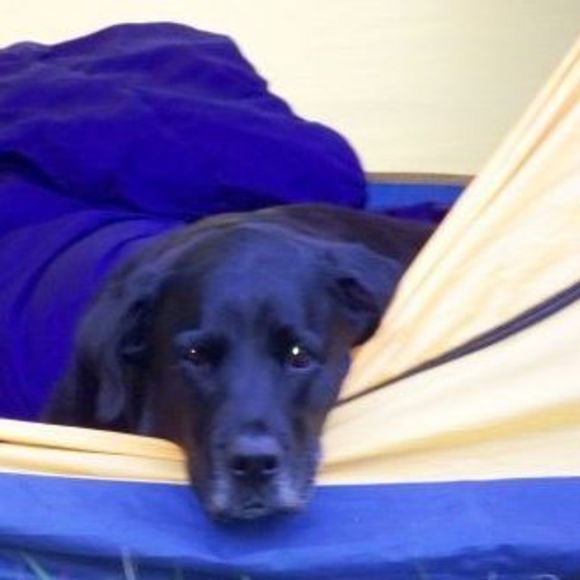 Meet your Posher, Linda - Picture 1 of 1